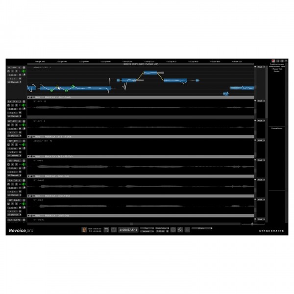 SynchroArts Revoice Pro 5 - Shaper Setting