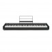 Korg D1 Digital Piano Package
