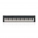 Korg D1 Digital Piano Keys