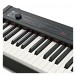 Korg D1 Digital Piano - Interface