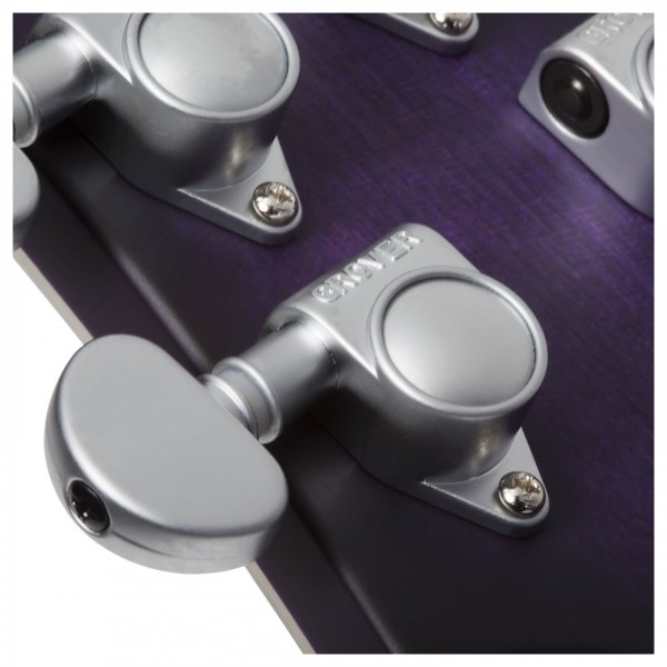 Schecter C-1 Platinum, Satin Purple Burst