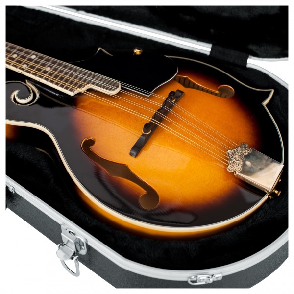 Gator Mandolin Case - Body Detail (Mandolin Not Included)