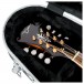 Gator Deluxe Moulded Case for Mandolins - Headstock Detail (Mandolin Not Included)