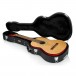 Gator GWE-CLASSIC Economy Classical Acoustic Guitar Case