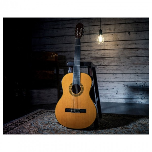 Washburn C40