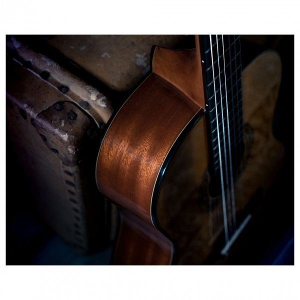 Washburn C40