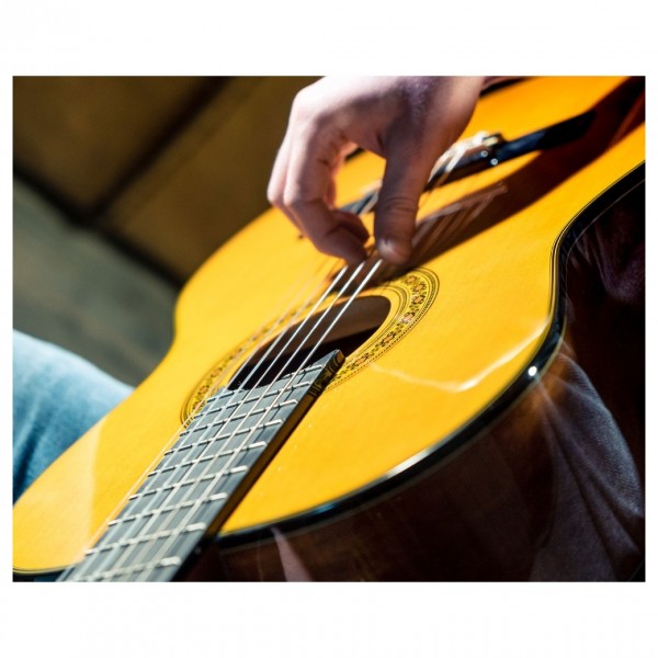 Washburn C40