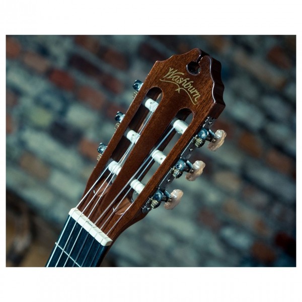 Washburn C40