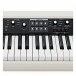 Korg SV2S 73 Digital Piano - interface  close up