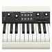 Korg SV2S 88 Digital Piano Package Interface closeup