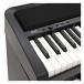 Korg XE20 Digital Piano Package - interface