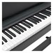 Korg C1 Air Digital Piano  - keys