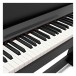 Korg C1 Air Digital Piano, Black keys