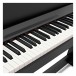 Korg C1 Digital Piano Package, keys