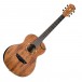 Washburn WCGM55K