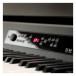 Korg G1 Air Digital Piano, Black - interface