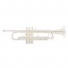 Bach Apollo 170S43GYR Trompete, Silver Überzogen