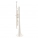 Bach Apollo 170S43GYR Trumpet, Silver Plated