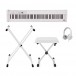 Korg D1 Digital Piano Package, White