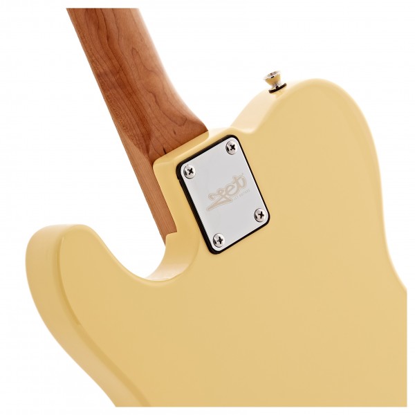 JET Guitars JT-300 Roasted Maple, Blonde