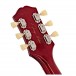 Epiphone Nancy Wilson Fanatic Outfit, Fireburst