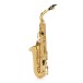 Trevor James Classic II Alto Saxophone, Gold