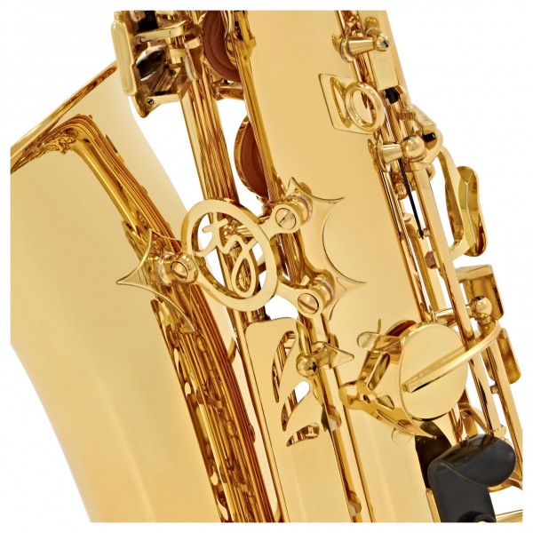 Trevor James Classic II Alto Saxophone, Gold
