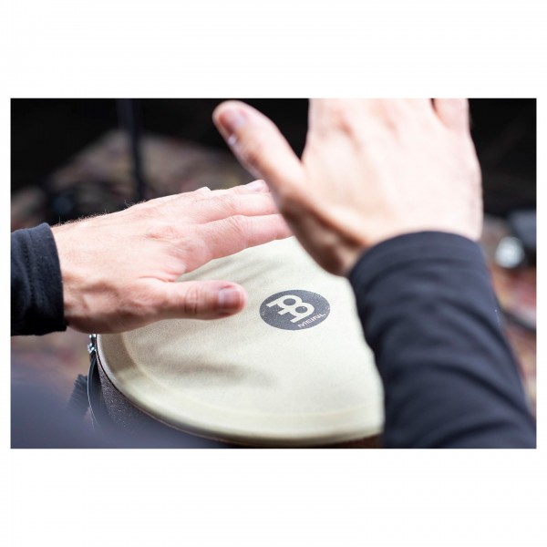 Meinl Percussion 10" Jumbo Series Djembe, Day Of The Dead
