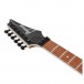 Ibanez RG420EX-BKF, Black Flat