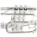 Roy Benson CR302 Bb Cornet, Silver Plated Valves