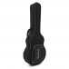 Epiphone Emily Wolfe Sheraton Stealth