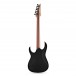 Ibanez RGIXL7 Iron Label 7-String, Black Flat