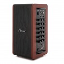 Hartwood Portable Singer-Songwriter PA System with Bluetooth