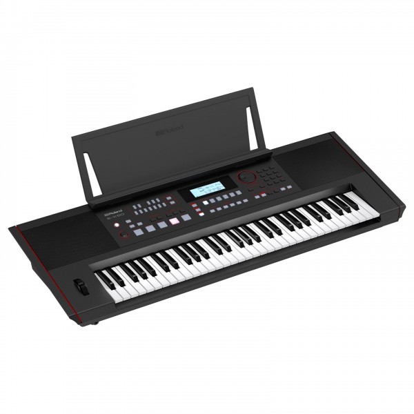 Roland E-X50 - Detail 1
