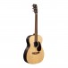 Martin 00-X2E Cocobolo - Upright, Front