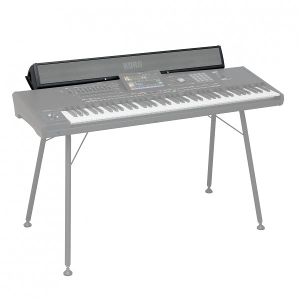 Korg PaAS MK2 Speaker System for Pa5X Series - Keyboard Application