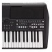 Yamaha PSR SX600 Digital Arranger Keyboard interface 3