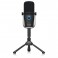 Behringer D2 Podcast Pro Large Diaphragm Dynamic Podcast Microphone - Upright, Front