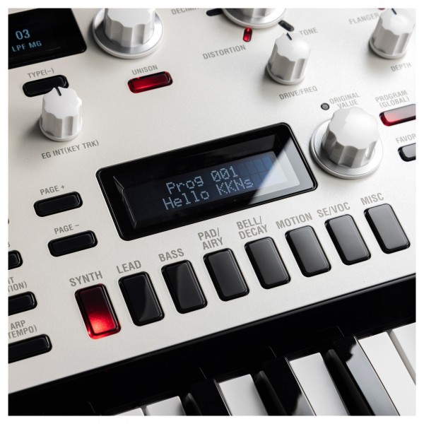 Korg KingKorg Neo - Detail (Display)