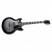 ESP LTD Royal Shiva, Silver Sunburst