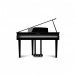 Kawai DG30 Digital Piano Package, Polished Ebony - Piano