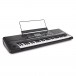 Korg PA300 Professional Arranger Keyboard