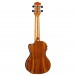 Luna Vista Eagle Electro Concert Ukulele, Gloss back