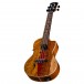 Luna Vista Eagle Electro Concert Ukulele, Gloss angle