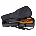 Luna Vista Eagle Electro Concert Ukulele, Gloss uke in gigbag