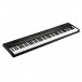 Korg Liano Digital Piano - 2