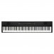 Korg Liano Digital Piano - 11