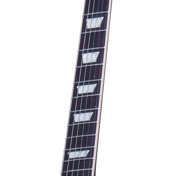 Gibson Les Paul Traditional Premium Finish T 2016, Desert Burst