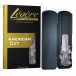 Legere Soprano Saxophone American Cut Synthetic Reed, 3 - Case, reed, and box