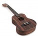 Tanglewood TWT19 Tiare Tenor Ukulele